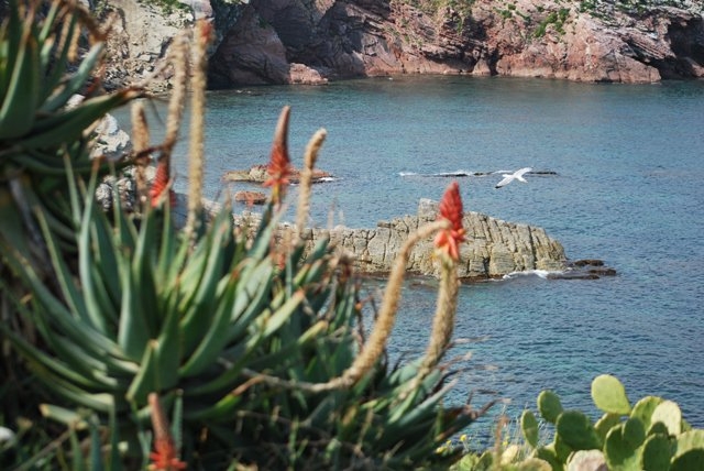  Sitios paradisíacos 